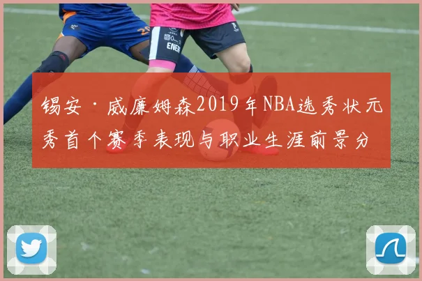 锡安·威廉姆森2019年NBA选秀状元秀首个赛季表现与职业生涯前景分析
