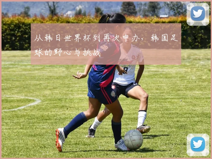 从韩日世界杯到再次申办，韩国足球的野心与挑战