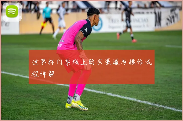 世界杯门票线上购买渠道与操作流程详解