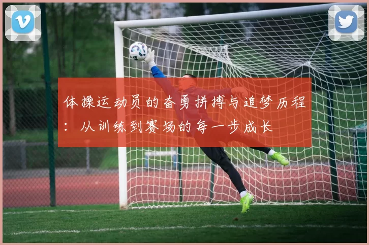 体操运动员的奋勇拼搏与追梦历程：从训练到赛场的每一步成长