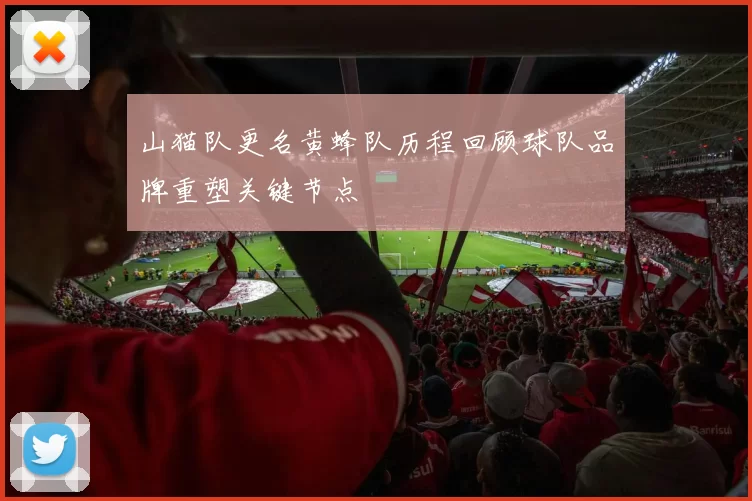 山猫队更名黄蜂队历程回顾球队品牌重塑关键节点