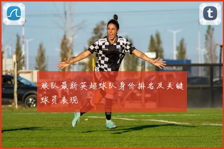 狼队最新英超球队身价排名及关键球员表现