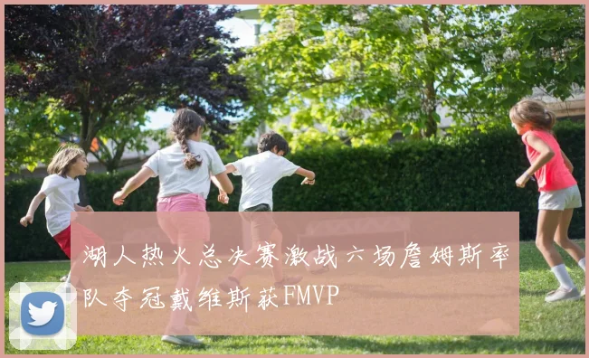 湖人热火总决赛激战六场詹姆斯率队夺冠戴维斯获FMVP