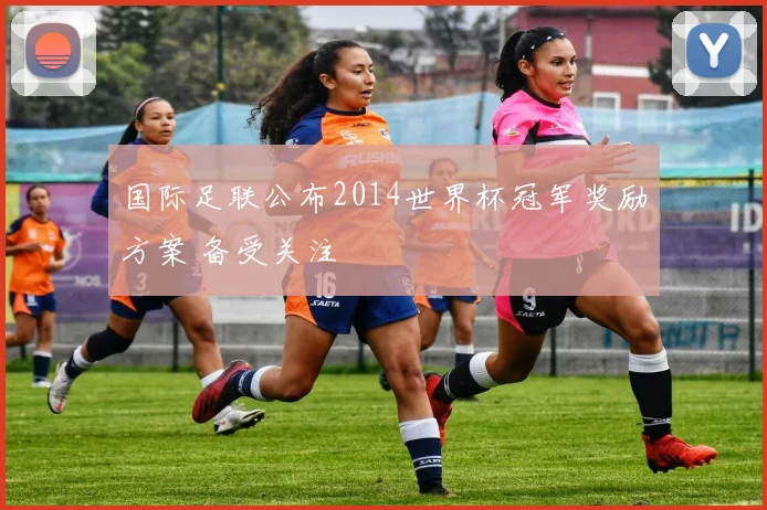 国际足联公布2014世界杯冠军奖励方案 备受关注