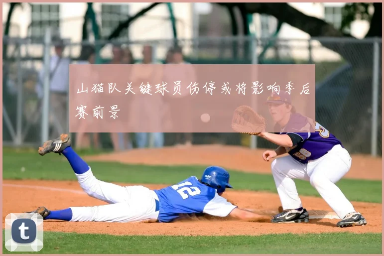 山猫队关键球员伤停或将影响季后赛前景