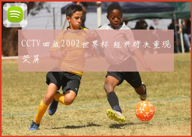 CCTV回放2002世界杯 经典对决重现荧屏