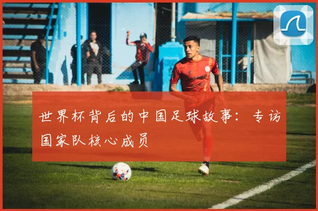 世界杯背后的中国足球故事：专访国家队核心成员