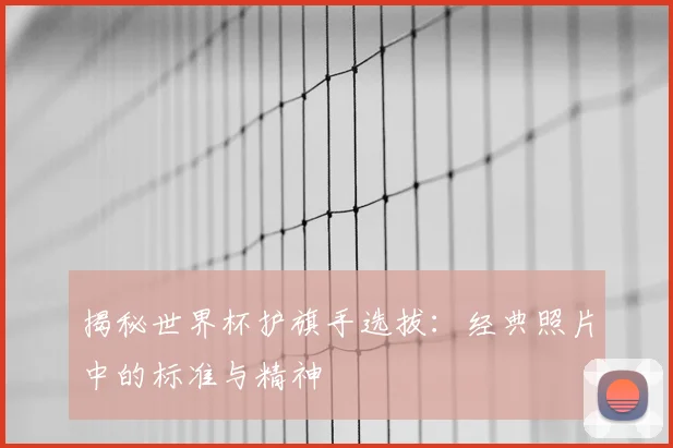 揭秘世界杯护旗手选拔：经典照片中的标准与精神