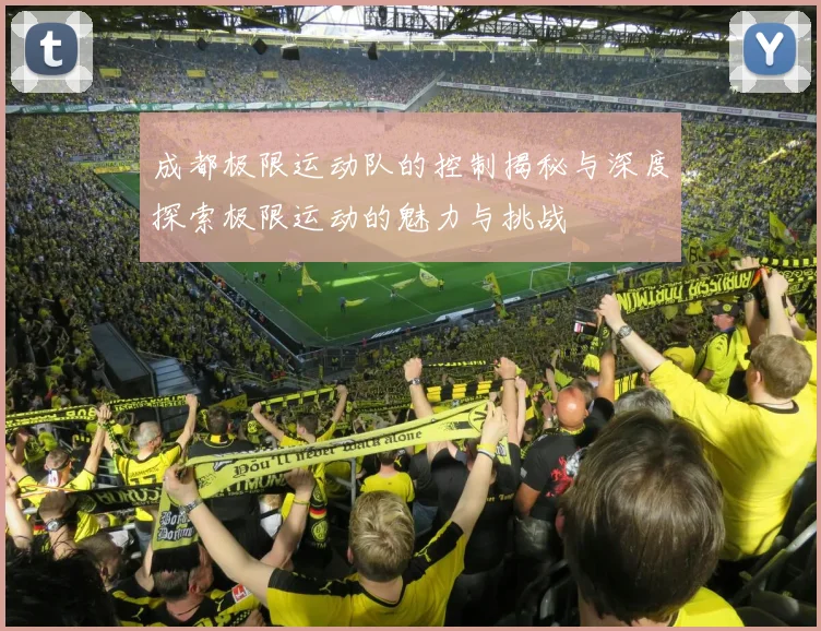 成都极限运动队的控制揭秘与深度探索极限运动的魅力与挑战