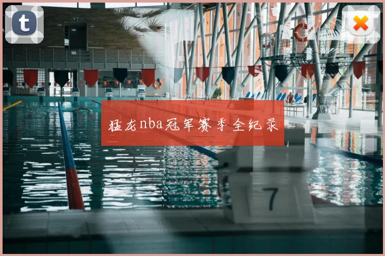 猛龙nba冠军赛季全纪录