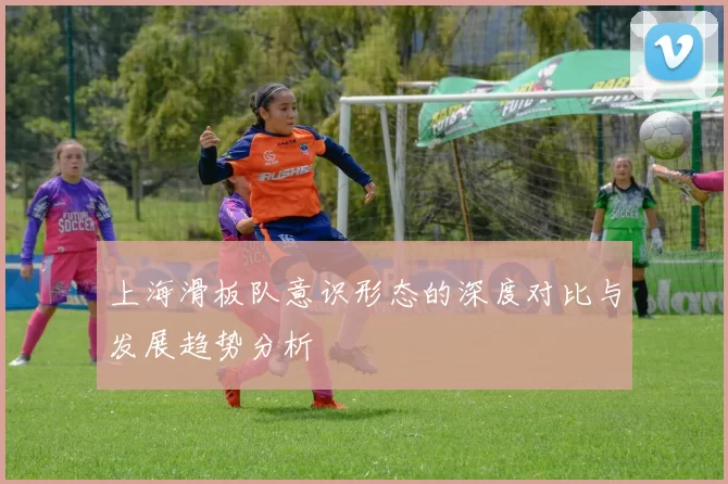 上海滑板队意识形态的深度对比与发展趋势分析