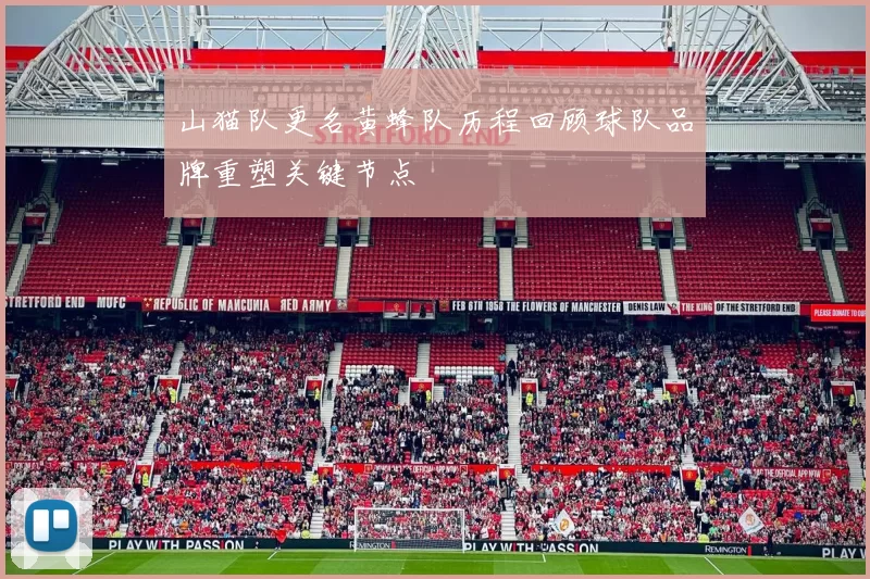 山猫队更名黄蜂队历程回顾球队品牌重塑关键节点