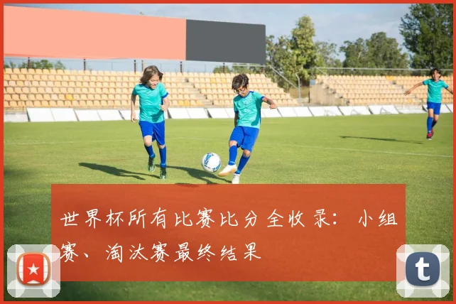 世界杯所有比赛比分全收录：小组赛、淘汰赛最终结果