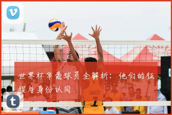 世界杯华裔球员全解析：他们的征程与身份认同