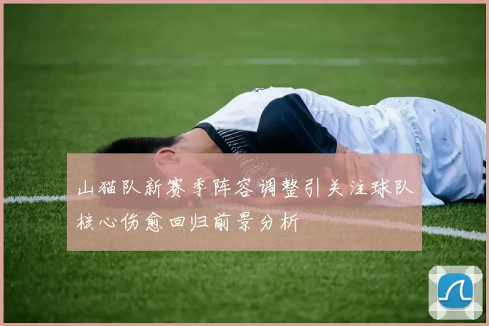 山猫队新赛季阵容调整引关注球队核心伤愈回归前景分析