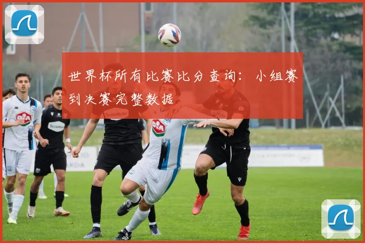 世界杯所有比赛比分查询：小组赛到决赛完整数据