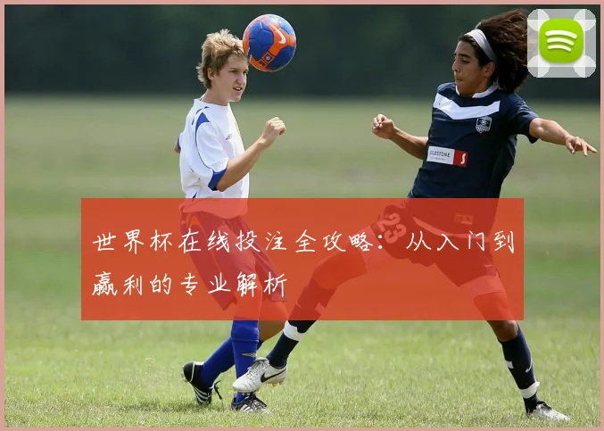 世界杯在线投注全攻略:从入门到赢利的专业解析