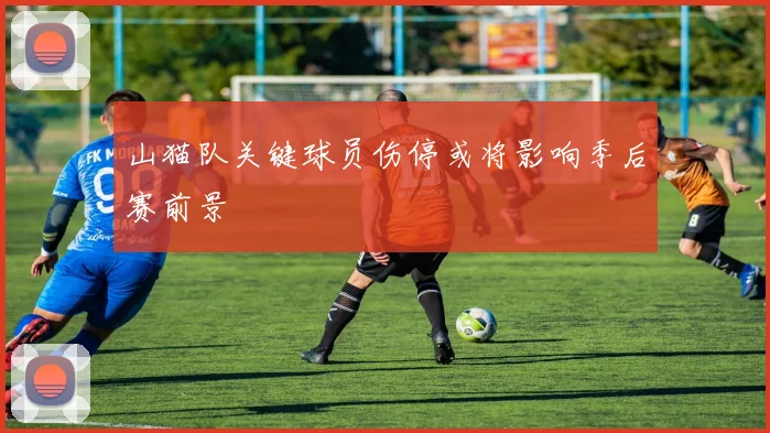 山猫队关键球员伤停或将影响季后赛前景