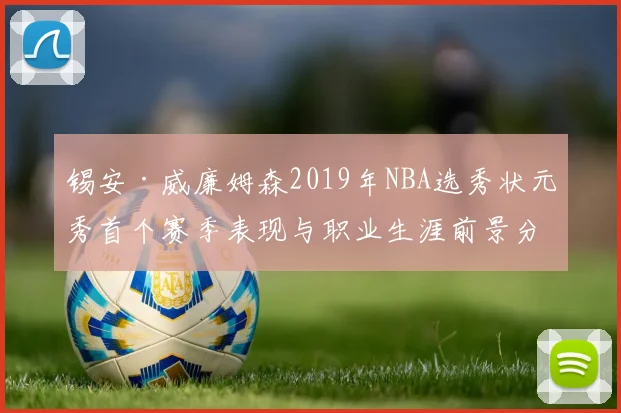 锡安·威廉姆森2019年NBA选秀状元秀首个赛季表现与职业生涯前景分析